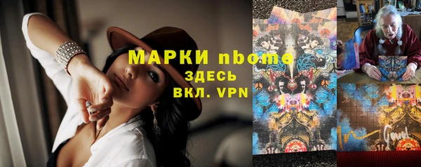 индика Армянск