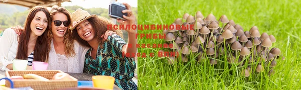 индика Армянск