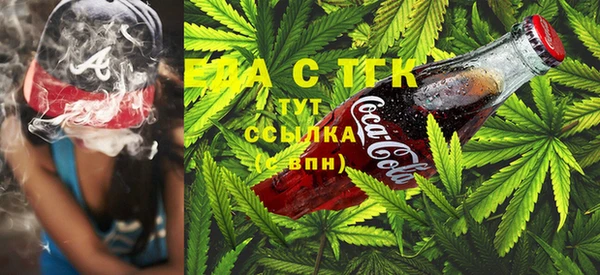 индика Армянск