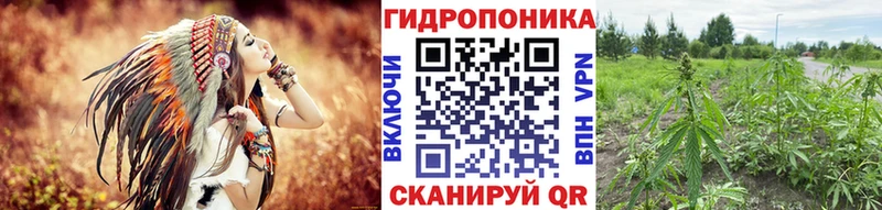 Марихуана план Певек